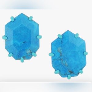 Kendra Scott Morgan Matte Stud Earrings In Aqua Howlite
